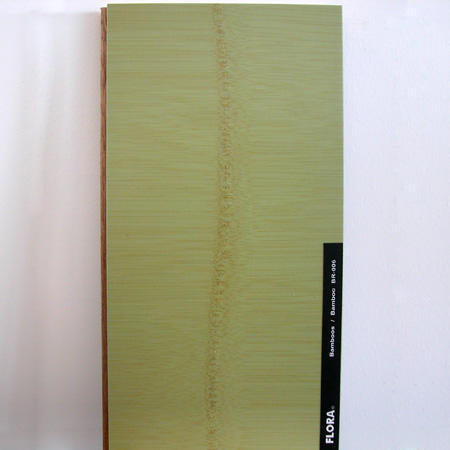 Bamboo Flooring (Bamboo Flooring)