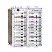 Digital Loop Carrier (Digital Loop Carrier)