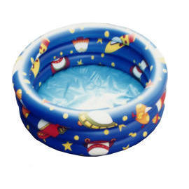 Inflatable Pool (Piscine gonflable)