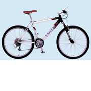 MOUNTAIN BIKE (MOUNTAIN BIKE)