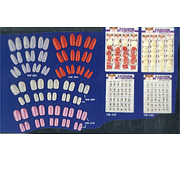 Artificial nail (Ongles artificiels)