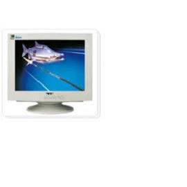 19`` CRT monitor