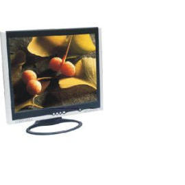 19`` LCD monitor (Moniteur LCD 19``)