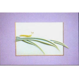Plexi Glass (Plexi Glass)