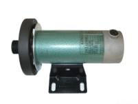 Treadmill Motor