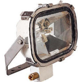 Halogen Flood Light