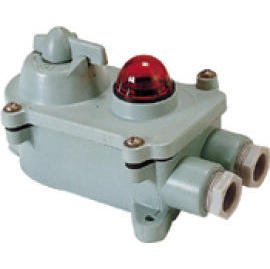 W.T SWITCH WITH PILOT LAMP