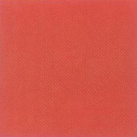 Vinyl Floor Tile (Vinyl Floor Tile)