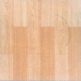 Vinyl Floor Tile (Vinyl Floor Tile)