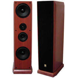 speaker (speaker)