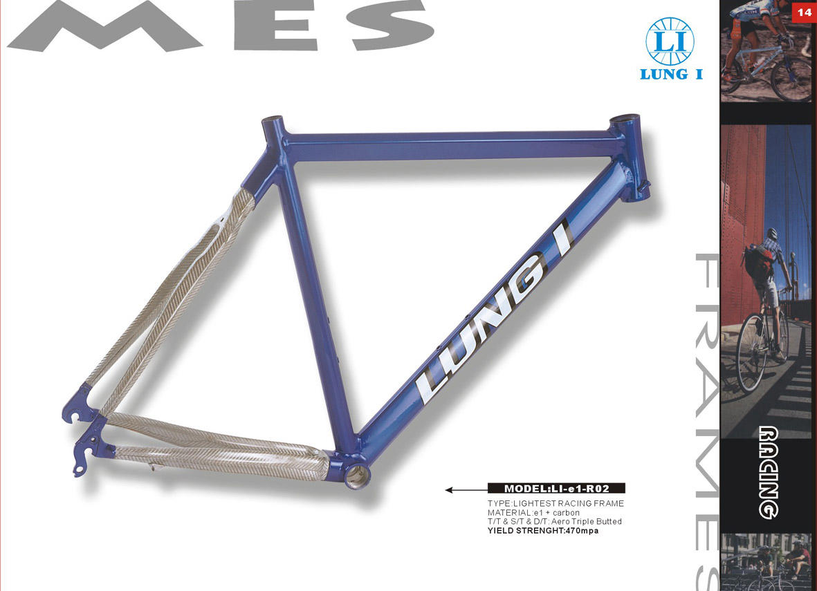 BICYCLE FRAME AND FORK (BICYCLE FRAME AND FORK)