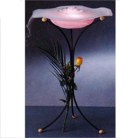 anion decorative lamp (anion lampe décorative)