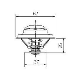 T256 (T256)