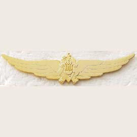 WING BADGE (WING ЗНАКОМ)