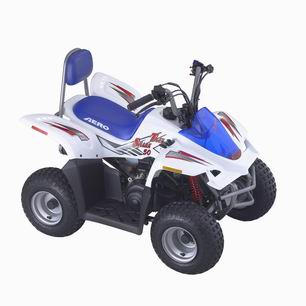 Mini ATV- Tiger Shark 50CC (Mini ATV- Tiger Shark 50CC)