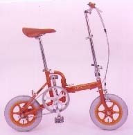 Folding Bike
