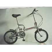 Folding Bike