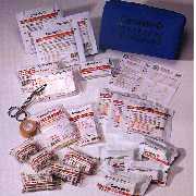Professional Car First Aid Kit (Car Professional First Aid Kit)