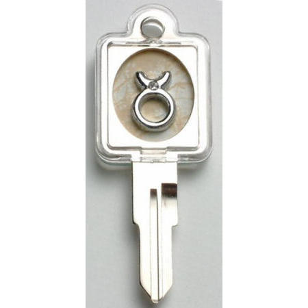 LOCKS, KEY-CHAIN, GIFT (LOCKS, KEY-CHAIN, GIFT)