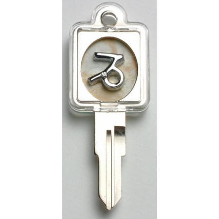 LOCKS,KEY-CHAIN,GIFT (LOCKS,KEY-CHAIN,GIFT)