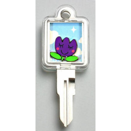 LOCKS, KEY-CHAIN, GIFT (LOCKS, KEY-CHAIN, GIFT)