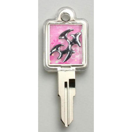 LOCKS, KEY-CHAIN, GIFT (LOCKS, KEY-CHAIN, GIFT)