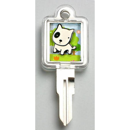 LOCKS, KEY-CHAIN, GIFT (LOCKS, KEY-CHAIN, GIFT)