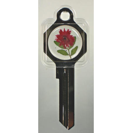 LOCKS, KEY-CHAIN, GIFT (LOCKS, KEY-CHAIN, GIFT)