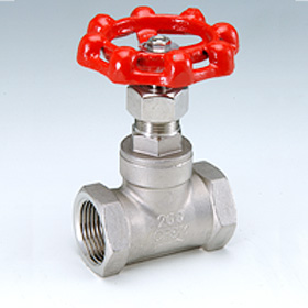 Globe Valve (Поворотная заслонка)