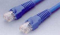 CAT.5 Molded & Assembled Cable