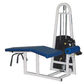 Commercial Strength LER CURL Equipment (Commercial Strength LER CURL Equipment)