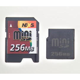 Mini Secure Digital (SD)