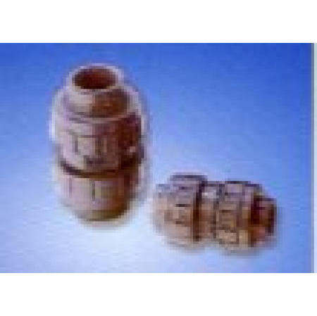 Double Union Ball Check Valve (Double Union Ball Check Valve)