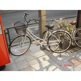 Gebrauchtes Fahrrad (Gebrauchtes Fahrrad)