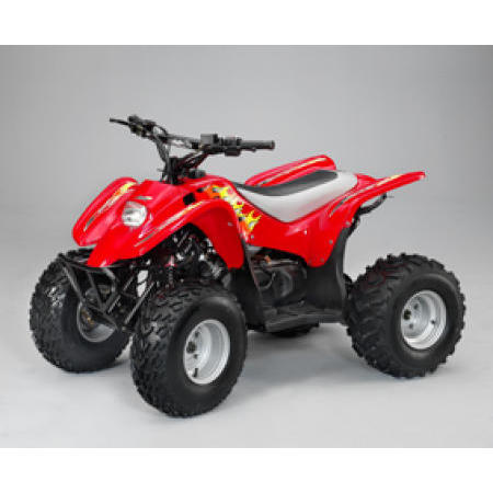 ATV, all-terrain-vehicle (ATV, tout-terrain des véhicules)