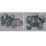 Forged Stainless Steel Fittings and Flanges