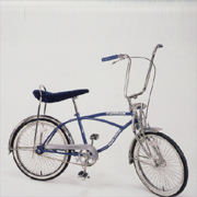 NX-LR2001P/B 20`` Low Rider with front wheel brake (NX-LR2001P/B 20`` Low Rider with front wheel brake)
