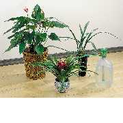 Automatic watering system AWS-20A3