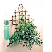 AUTOMATIC WATERING SYSTEM HAWS-20H