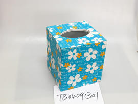 Tissue Box (Tissue Box)