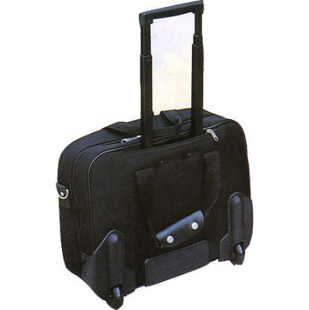 travel case (футляр для транспортировки)