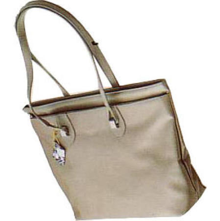 handbag (sac à main)