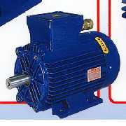 EEX-D,EEX-DE AND EEX-E MOTORS