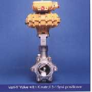 SS316/WCB Control Valve (SS316/WCB Control Valve)