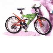 Mountain Bicycle : TOP-99015