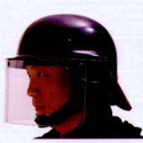 Riot helmet