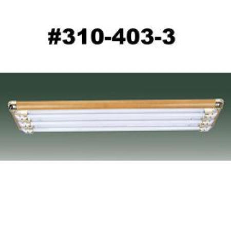 CEILING LIGHT (CEILING LIGHT)