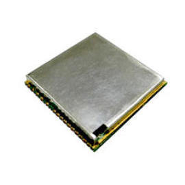 GPS Module (GPS Module)