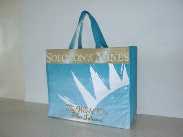 Shopping Bag