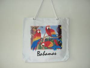 Shopping Bag (Покупки Сумка)